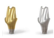 OneFit abutment